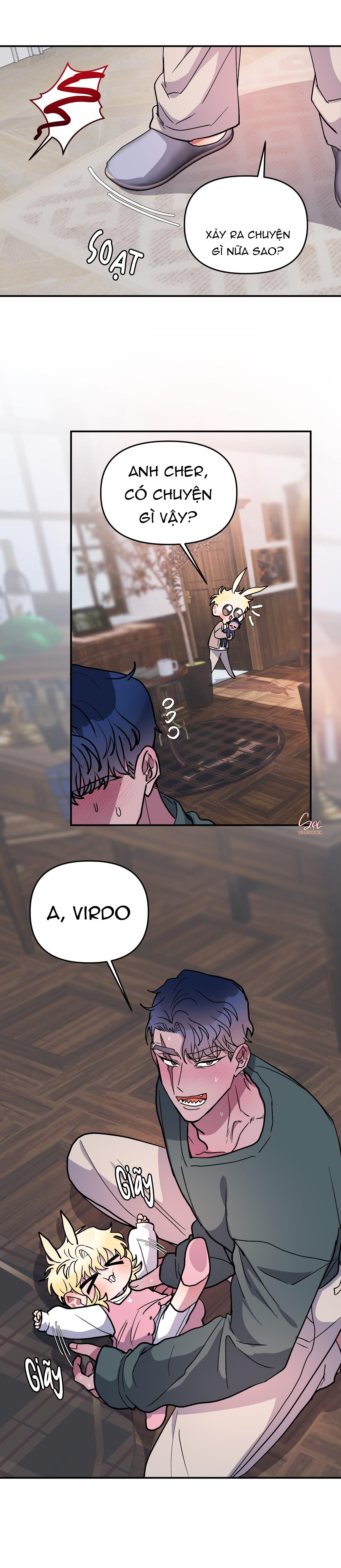 Đọc truyện CÁ MẬP VÀ CÔ DÂU THỎ - Chapter 54