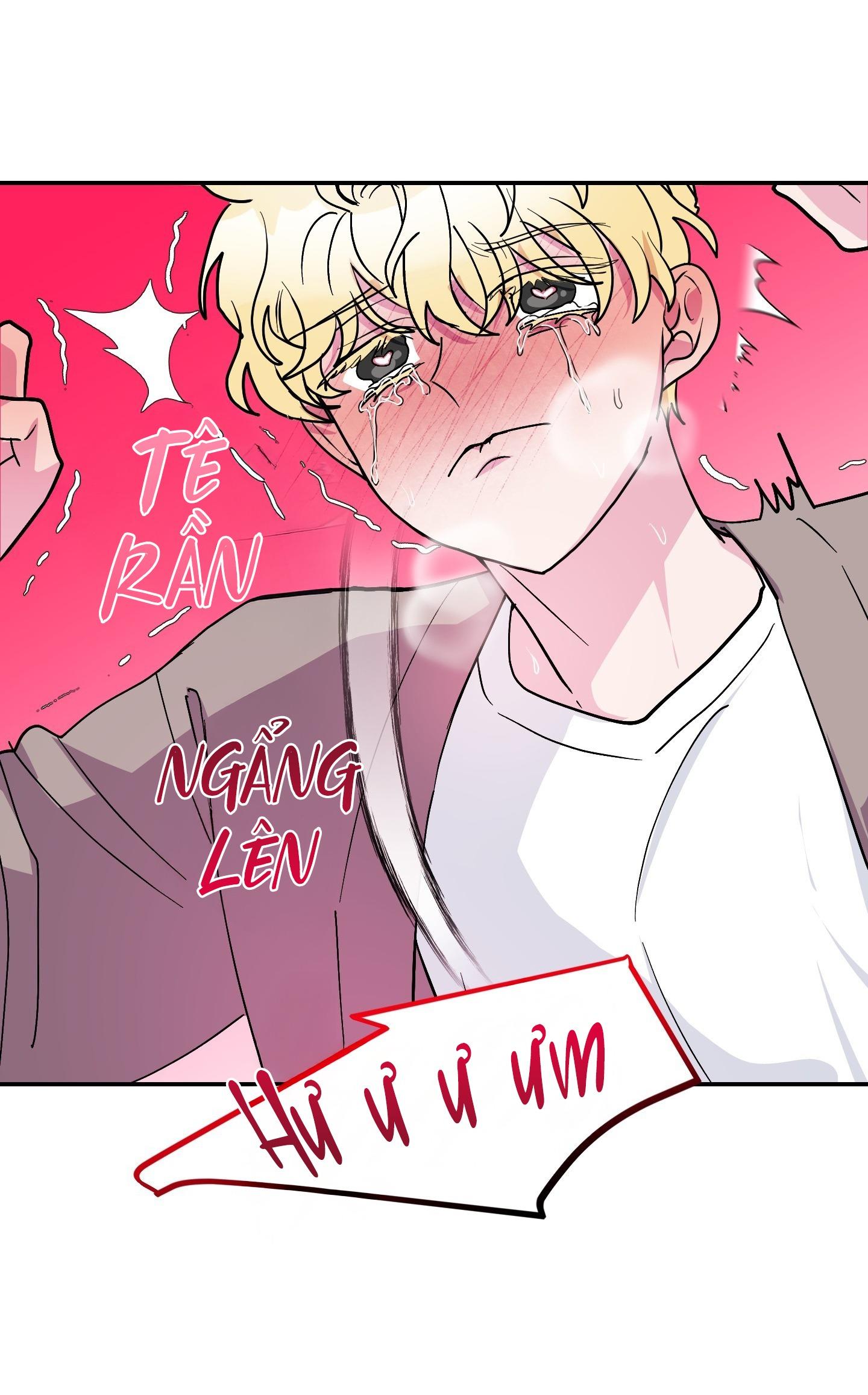 Đọc truyện CÁ MẬP VÀ CÔ DÂU THỎ - Chapter 56