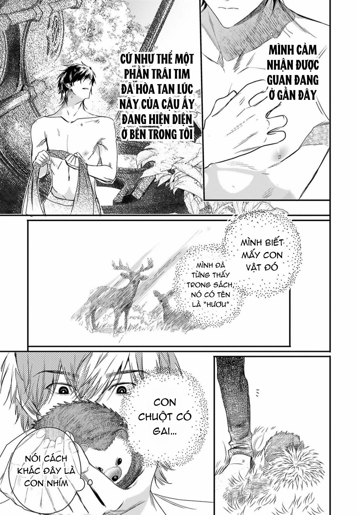 Đọc truyện World's End Bluebird - Chapter 11