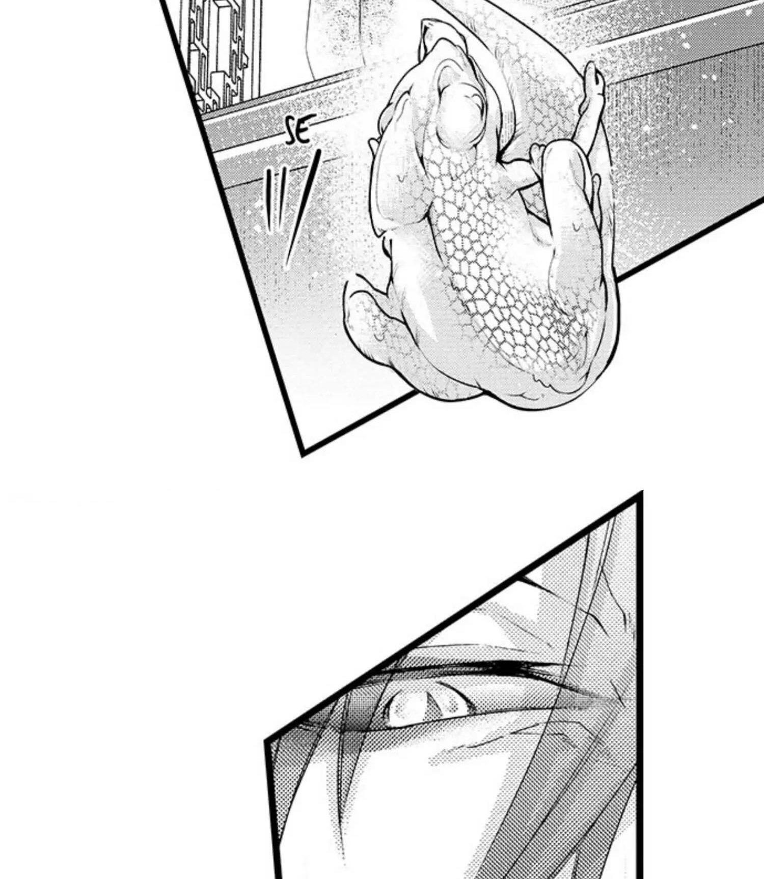 Đọc truyện Fan cuồng Boylove bị triệu hồi tới một thế giới lạ - Chapter 6
