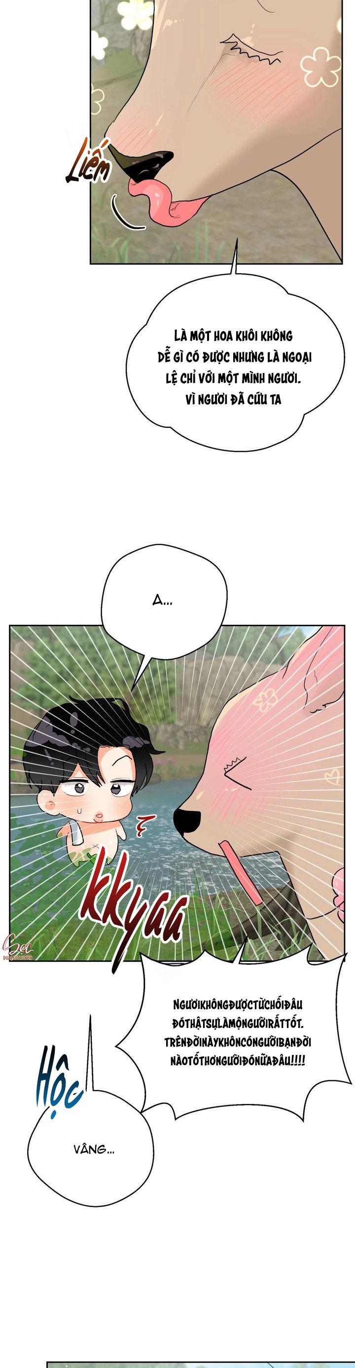 Đọc truyện (AxB) OMEGA CỦA ANH TRAI - Chapter 17