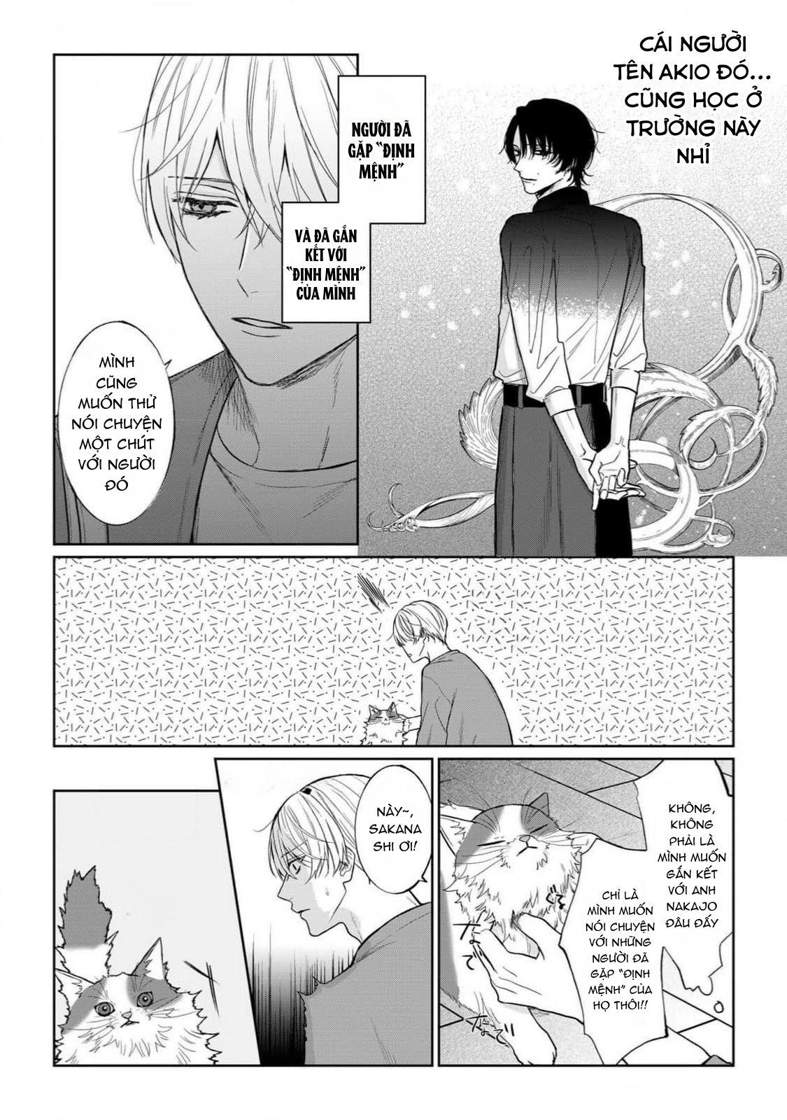 Đọc truyện Khi Định Mệnh Hoá Yêu Thương - Chapter 3