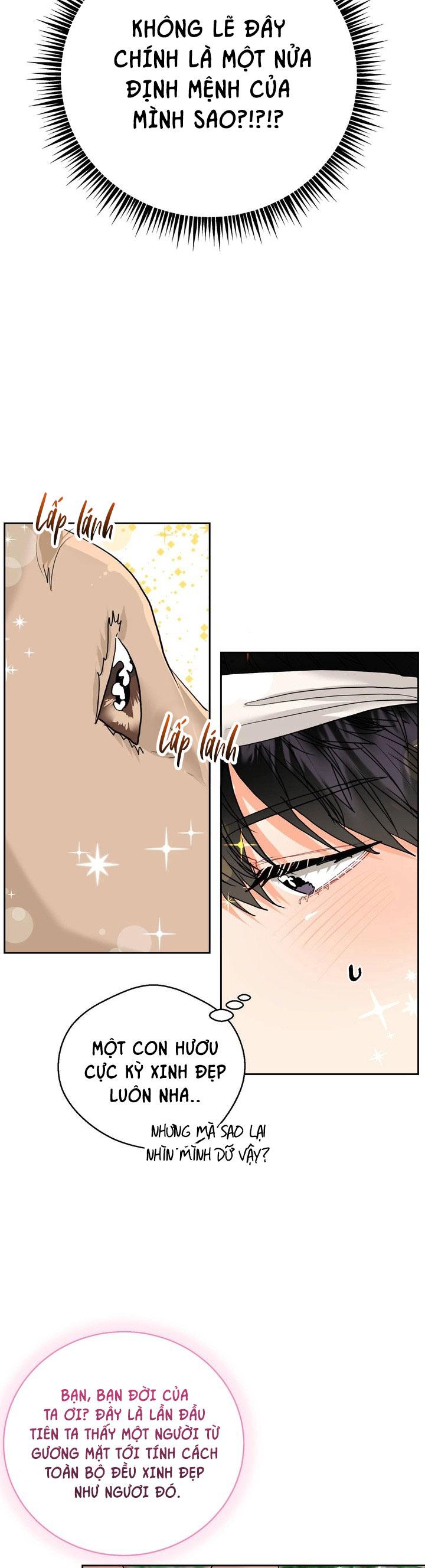 Đọc truyện (AxB) OMEGA CỦA ANH TRAI - Chapter 17