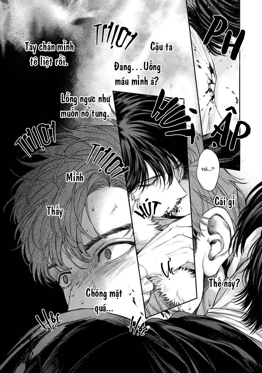 Đọc truyện Viên Grarnet Trong Bóng Tối - Chapter 1