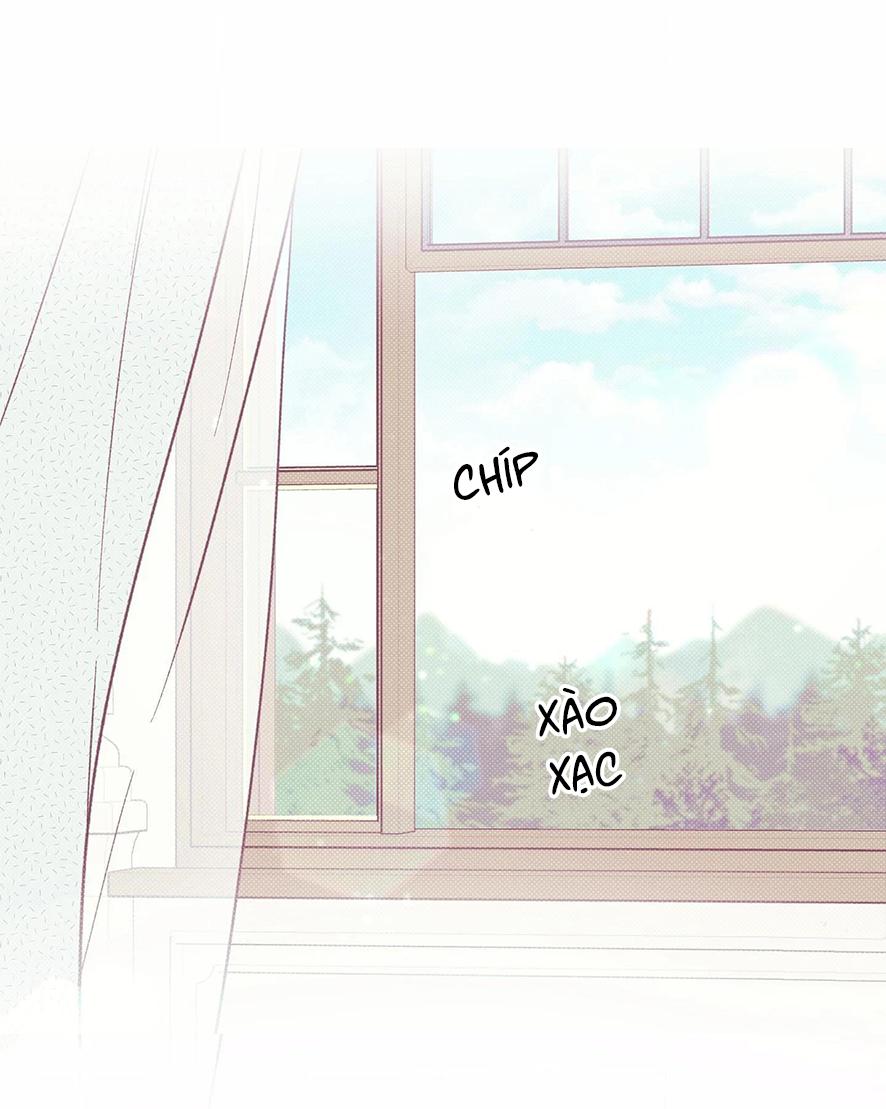 Đọc truyện Xuyên Thành Bá Tước Omega - Chapter 3