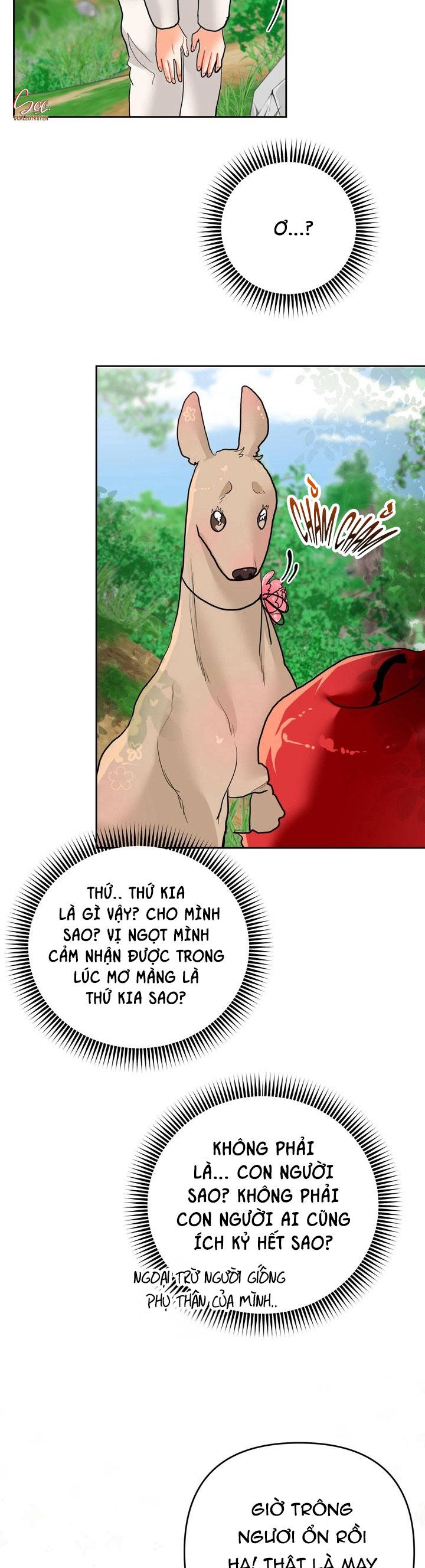 Đọc truyện (AxB) OMEGA CỦA ANH TRAI - Chapter 17