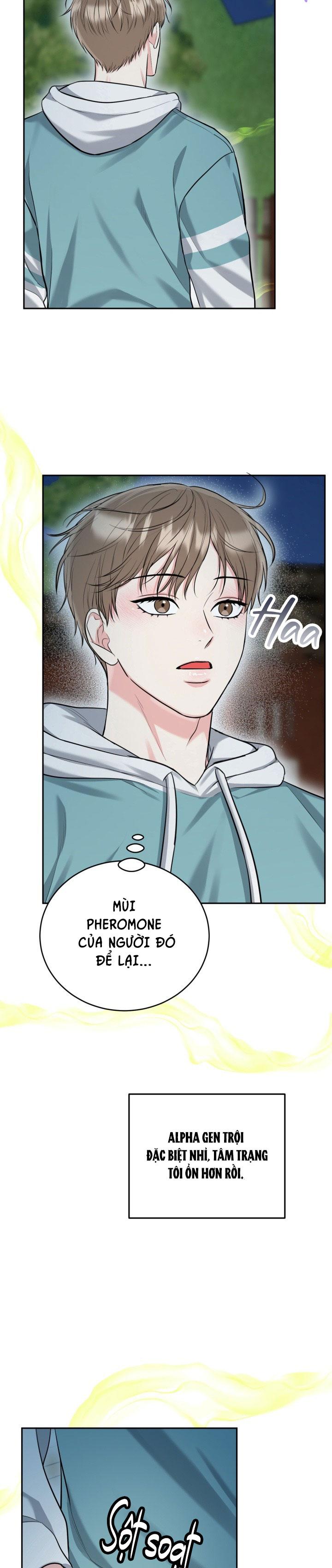Đọc truyện (ABO) HANG HỔ - Chapter 63