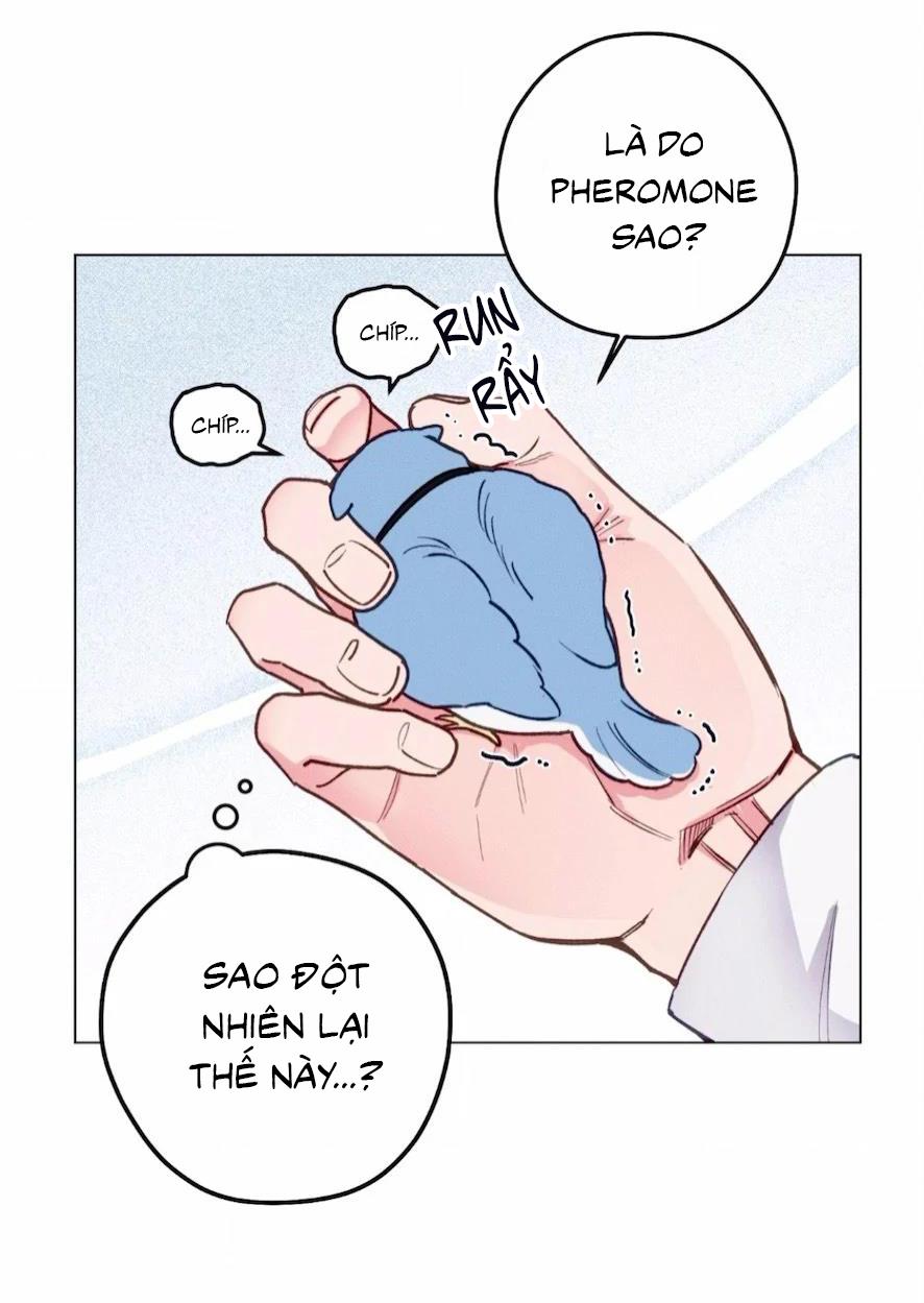 Đọc truyện Xuyên Thành Bá Tước Omega - Chapter 2
