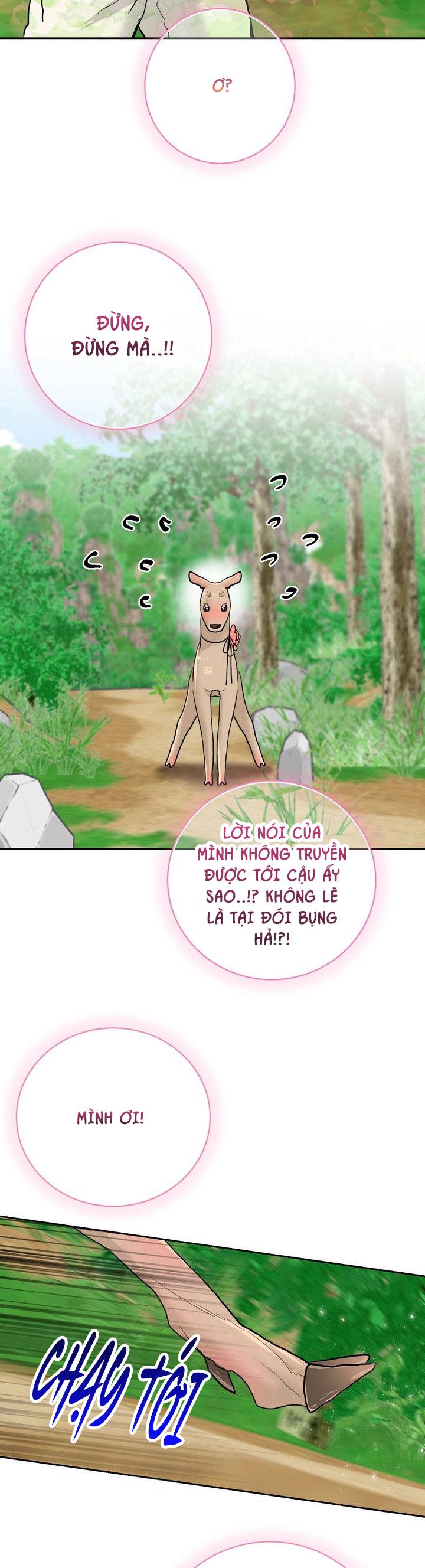 Đọc truyện (AxB) OMEGA CỦA ANH TRAI - Chapter 17
