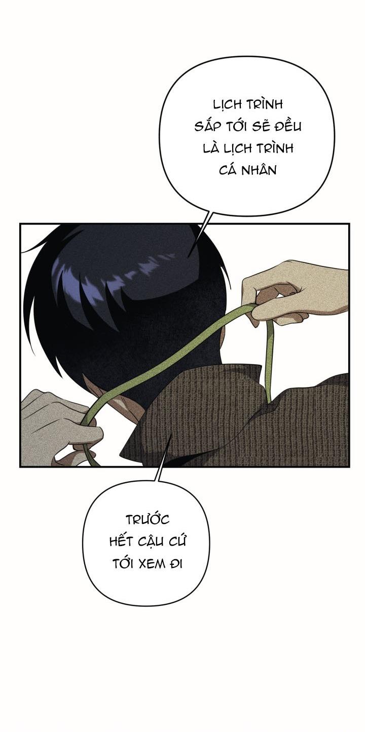 Đọc truyện Đến gặp Idol nào! - Chapter 2