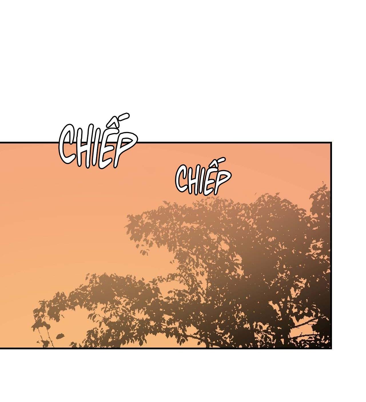 Đọc truyện Thiếu niên sò: Bình minh bùng cháy - Chapter 6