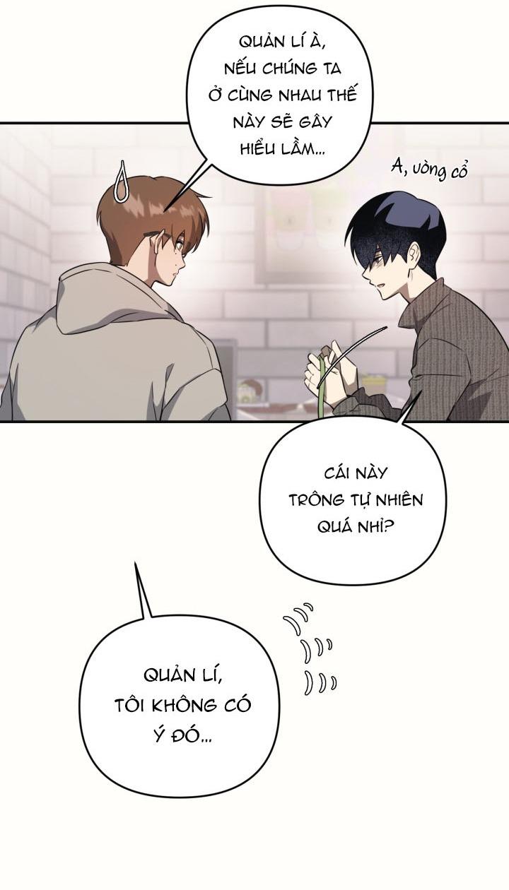 Đọc truyện Đến gặp Idol nào! - Chapter 2