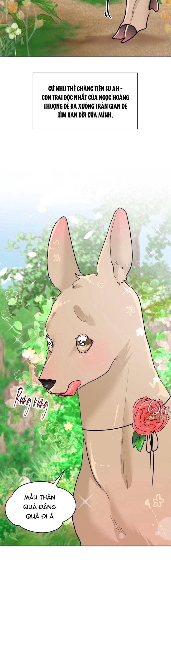 Đọc truyện (AxB) OMEGA CỦA ANH TRAI - Chapter 17