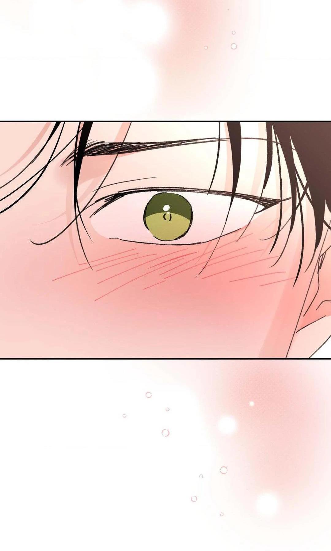 Đọc truyện Chiếc Lá Lay Động Theo Giai Điệu - Chapter 21