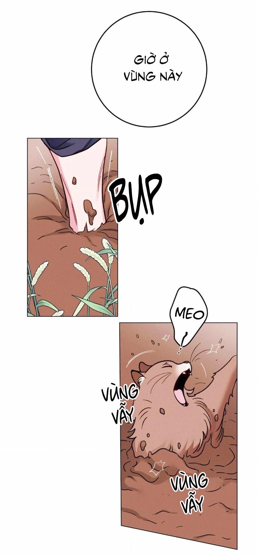 Đọc truyện Xuyên Thành Bá Tước Omega - Chapter 3