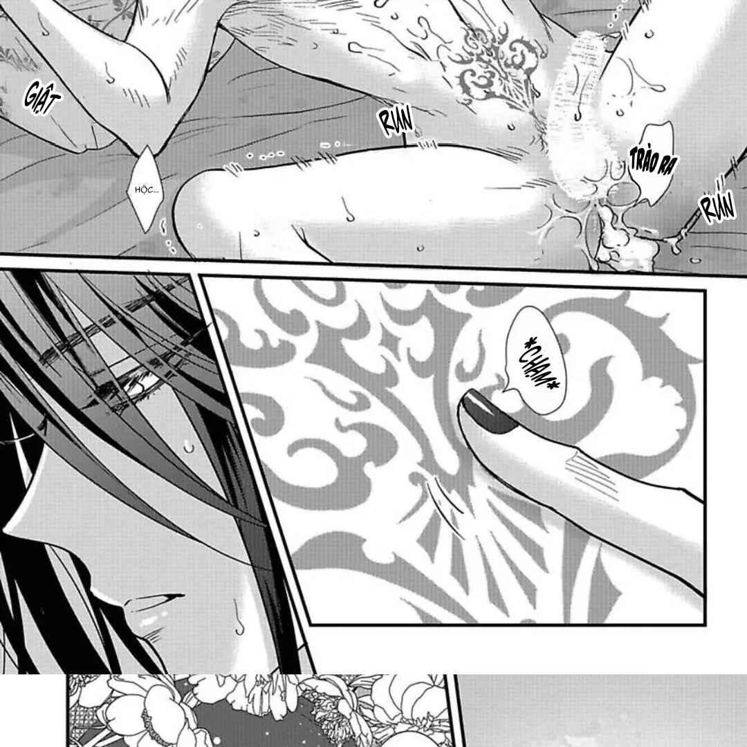 Đọc truyện Cô Dâu Của Rồng - Chapter 2