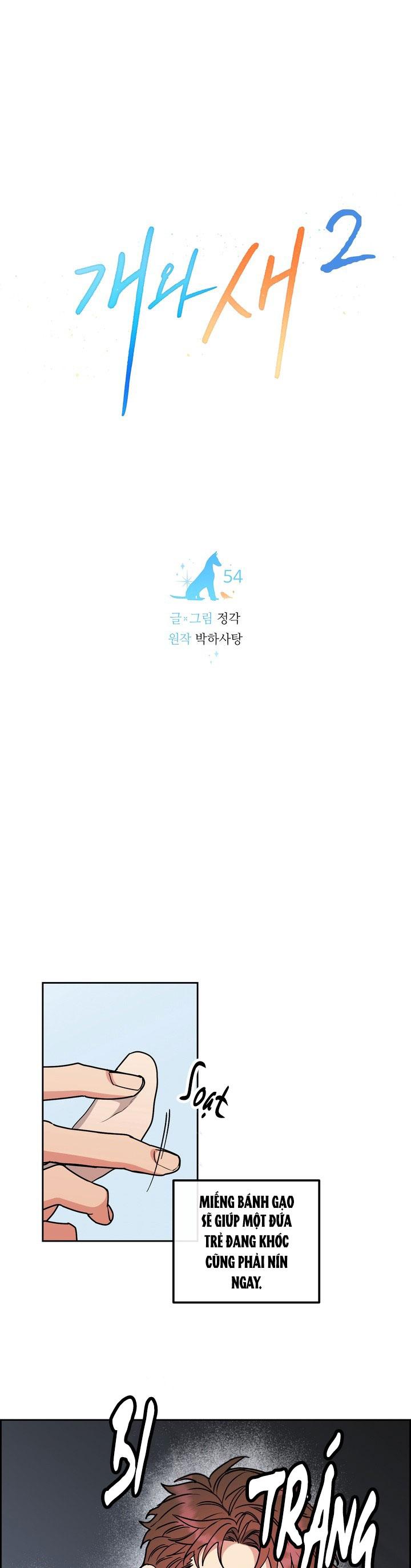 Đọc truyện CHÓ VÀ CHIM - Chapter 54