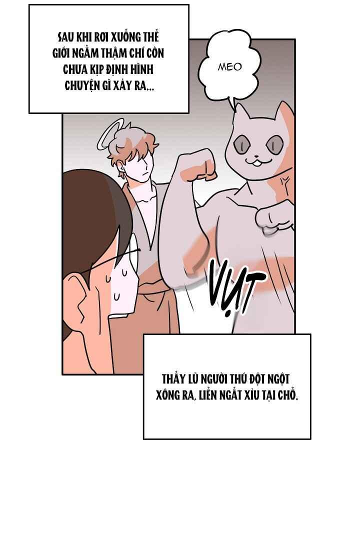 Đọc truyện Dừng Lại, Tài Xế - Chapter 27