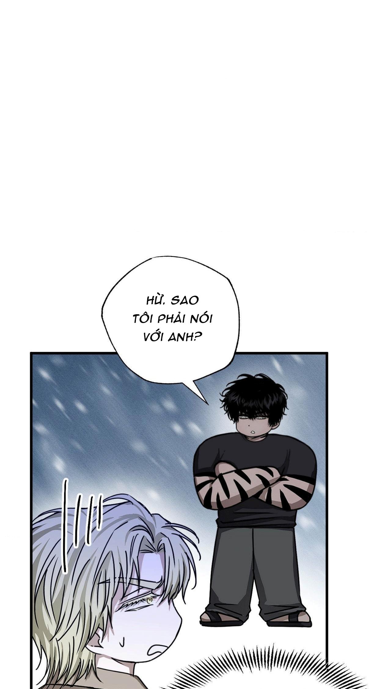 Đọc truyện MẮT BÃO - Chapter 10