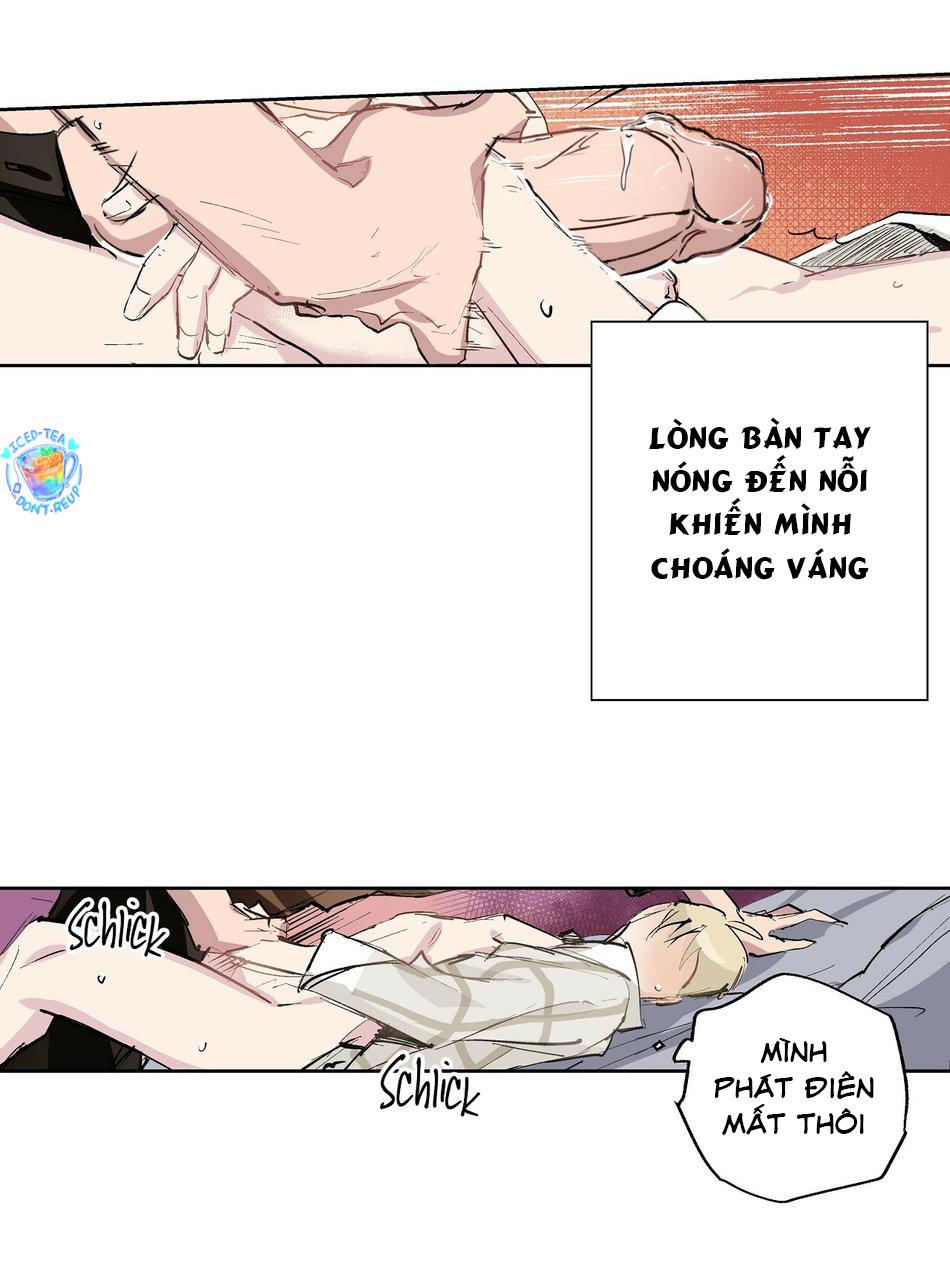 Đọc truyện Phù Thủy Xứ Eden - Chapter 5