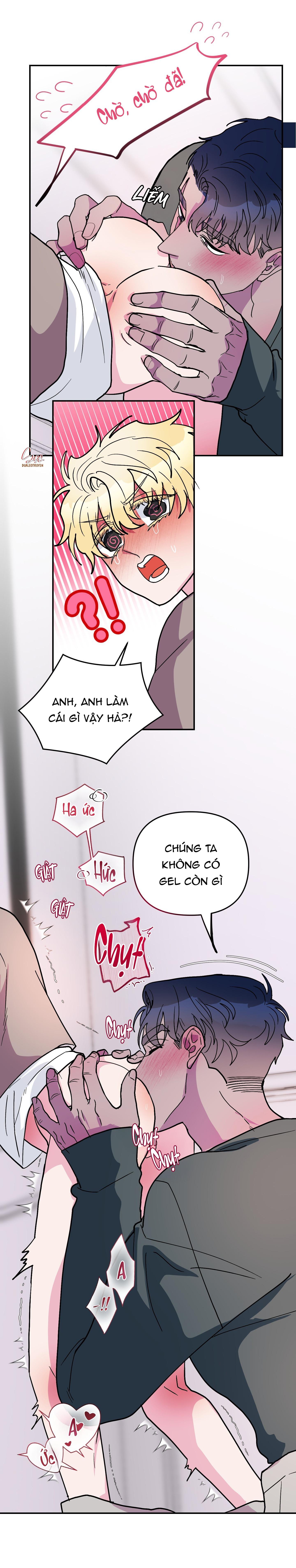 Đọc truyện CÁ MẬP VÀ CÔ DÂU THỎ - Chapter 56