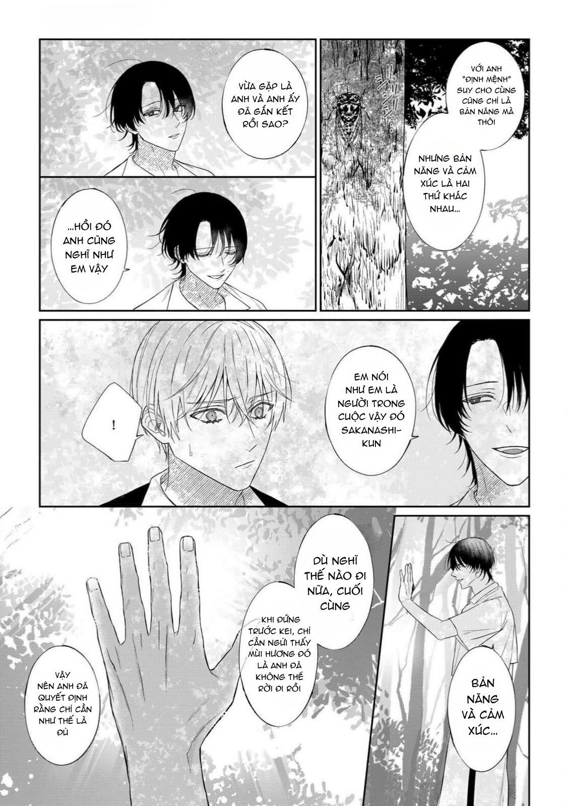 Đọc truyện Khi Định Mệnh Hoá Yêu Thương - Chapter 4