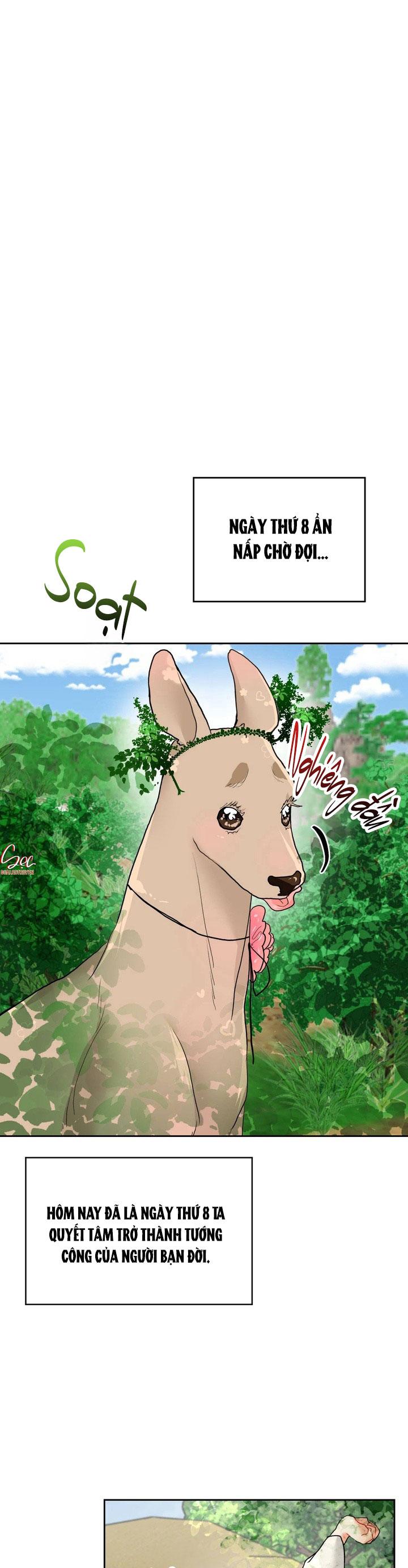 Đọc truyện (AxB) OMEGA CỦA ANH TRAI - Chapter 17